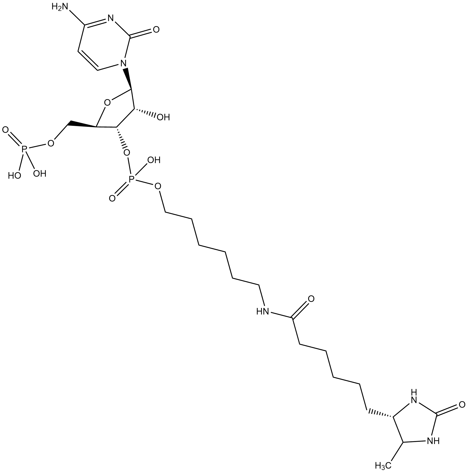 pCp-Desthiobiotin