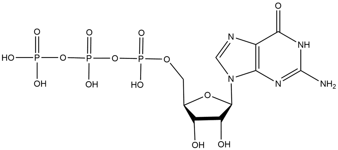 Guanosine triphosphate