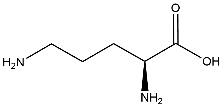 L-Ornithine
