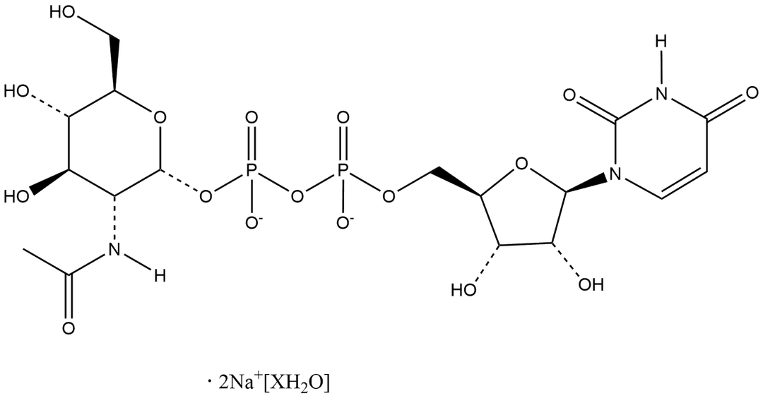 UDP-N-acetyl-D-Glucosamine (sodium salt hydrate)