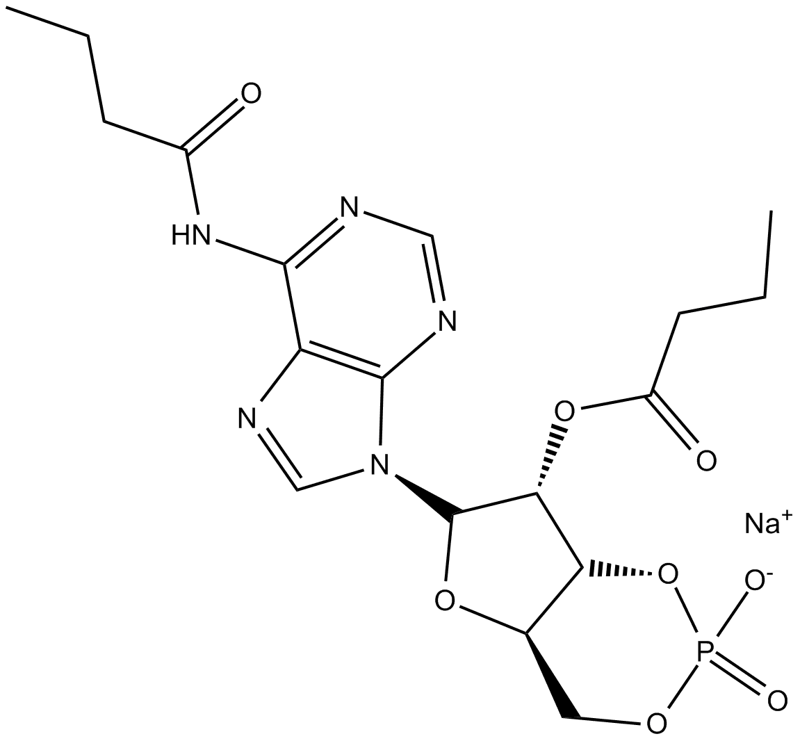 Dibutyryl-cAMP, sodium salt
