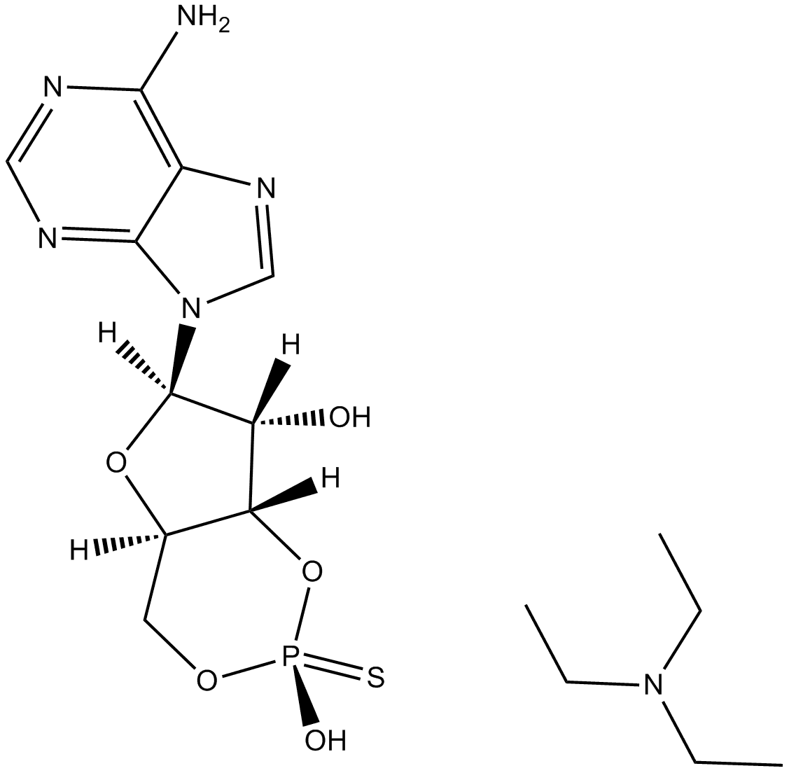 cAMPS-Rp, triethylammonium salt