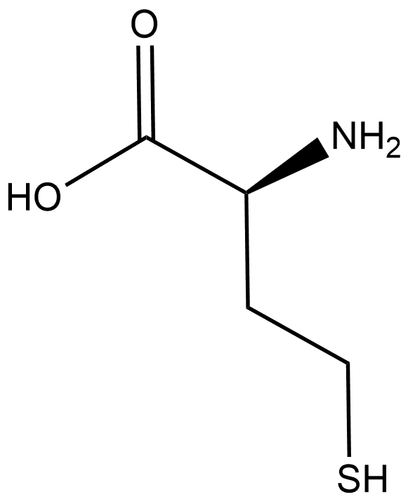 L-Homocysteine