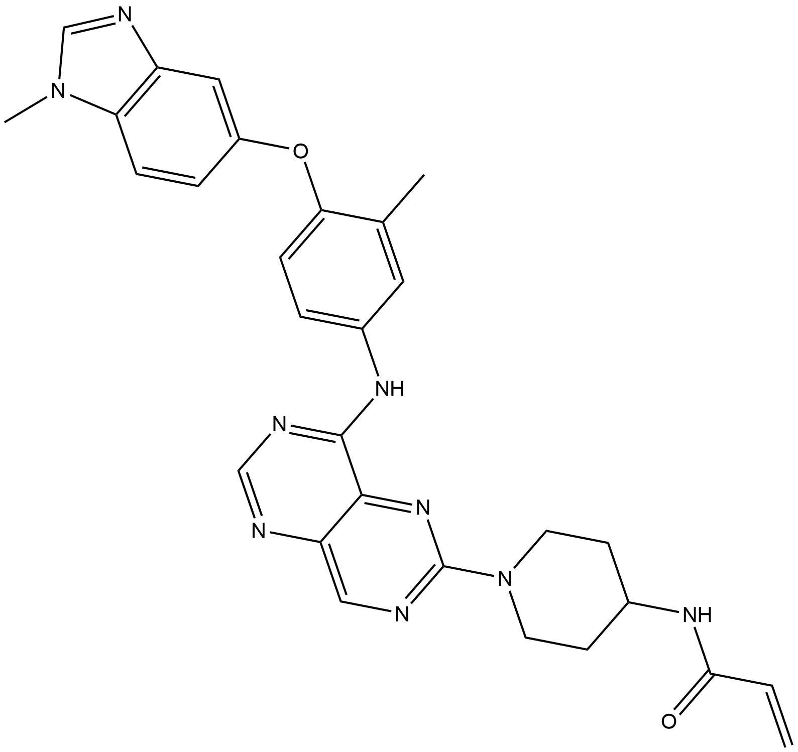 Zongertinib