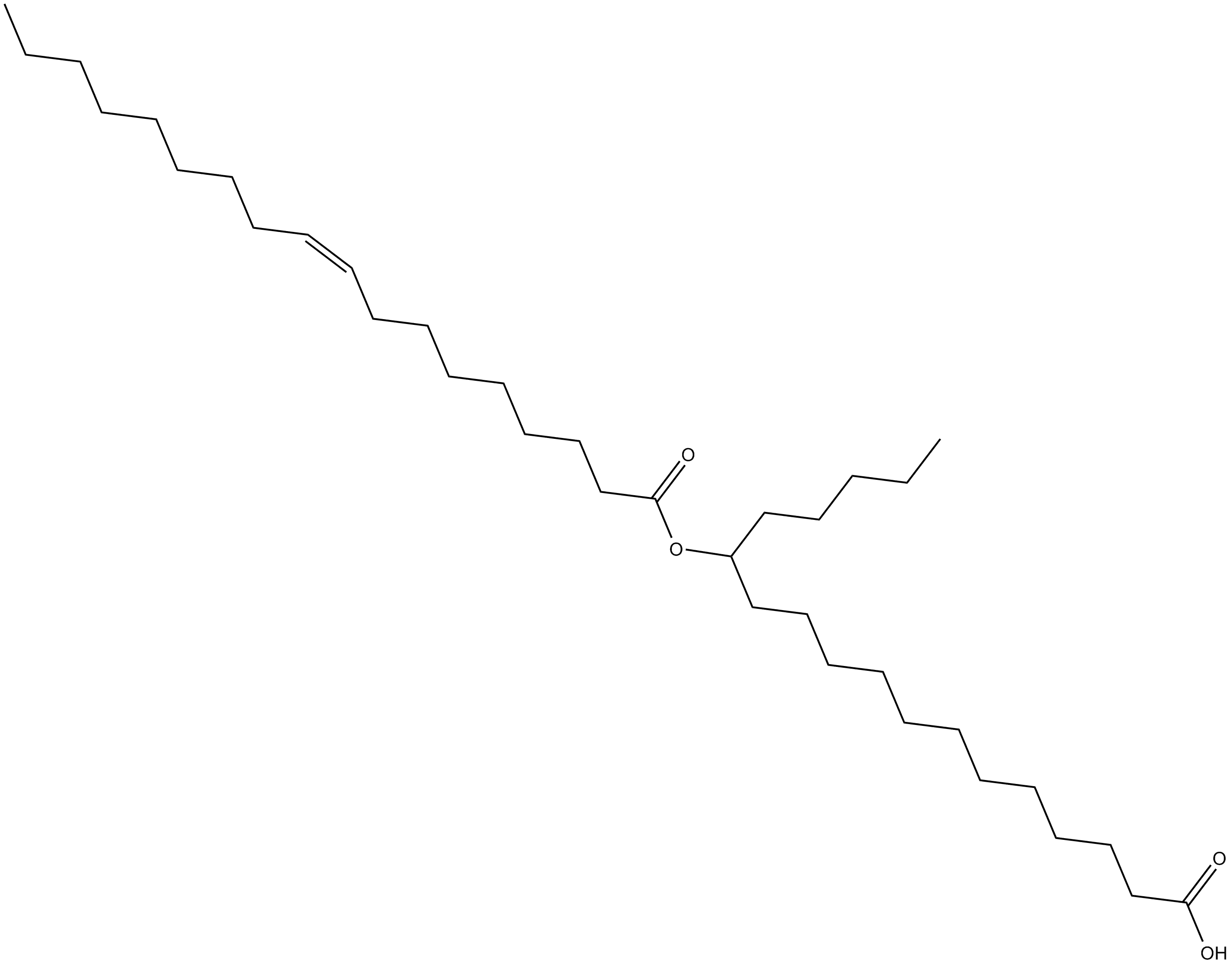 13-OAHSA