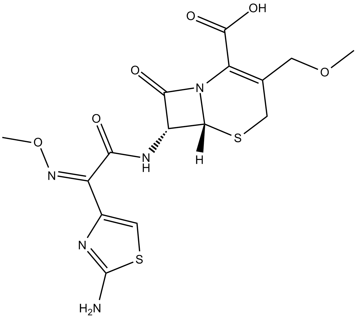 Cefpodoxime (free acid)