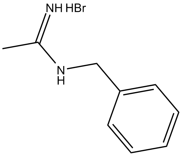 N-Benzylacetamidine (hydrobromide)