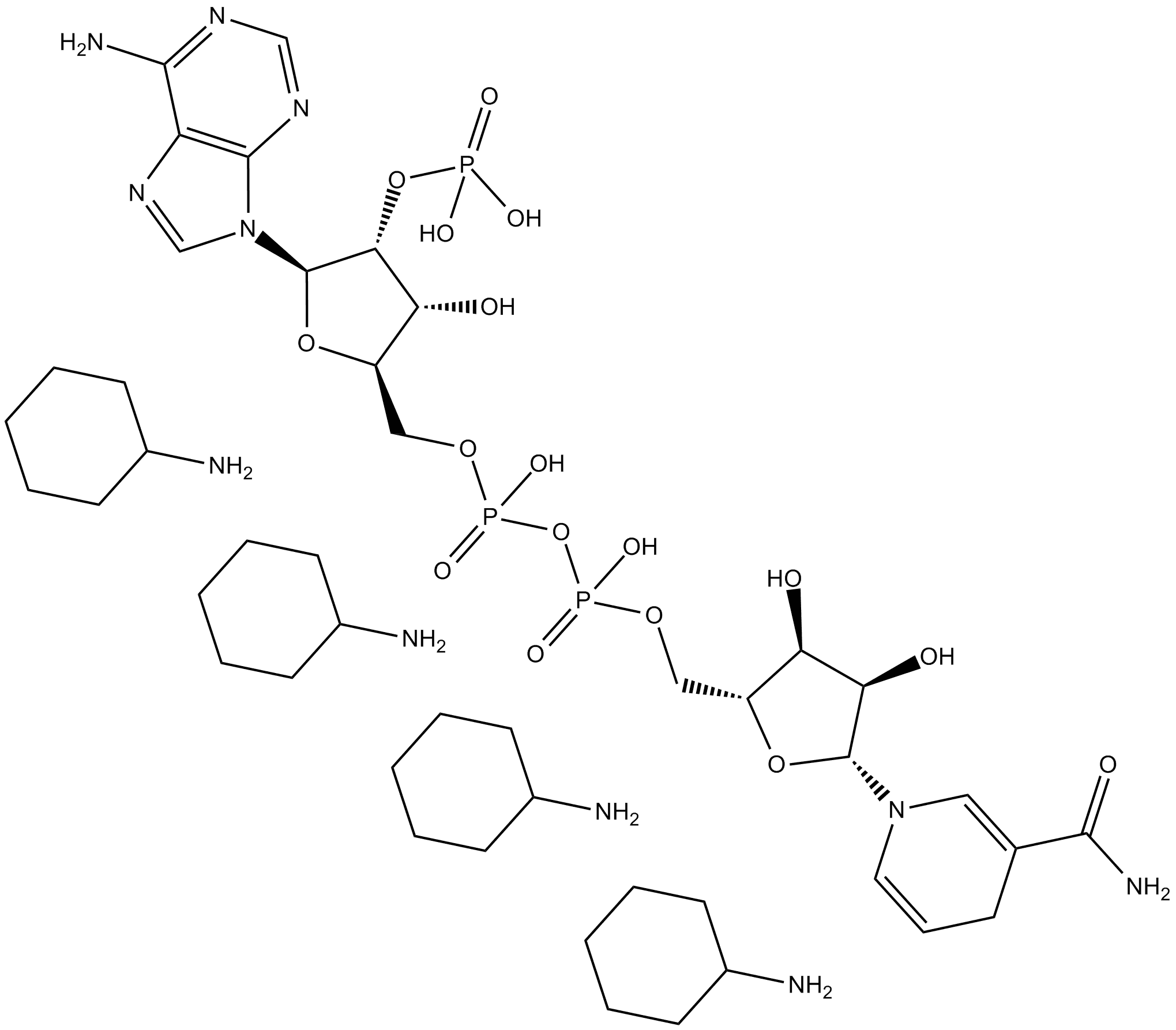 NADPH (cyclohexyl ammonium salt)