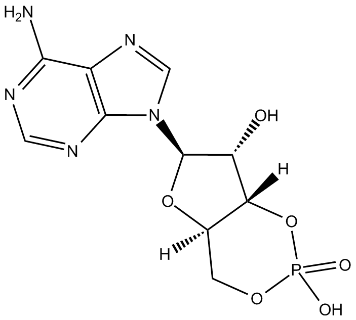 Cyclic AMP