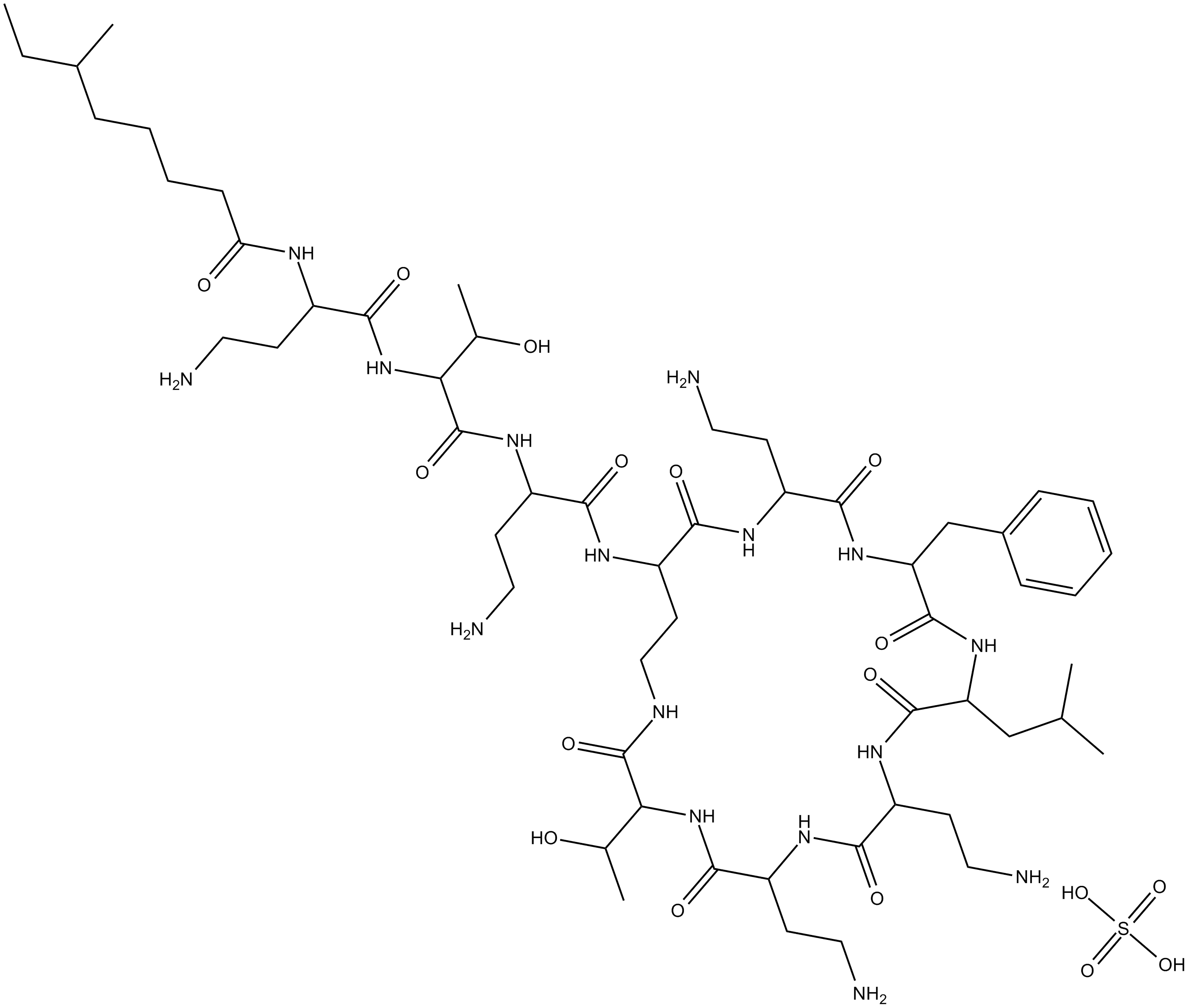 Polymyxin B (sulfate)