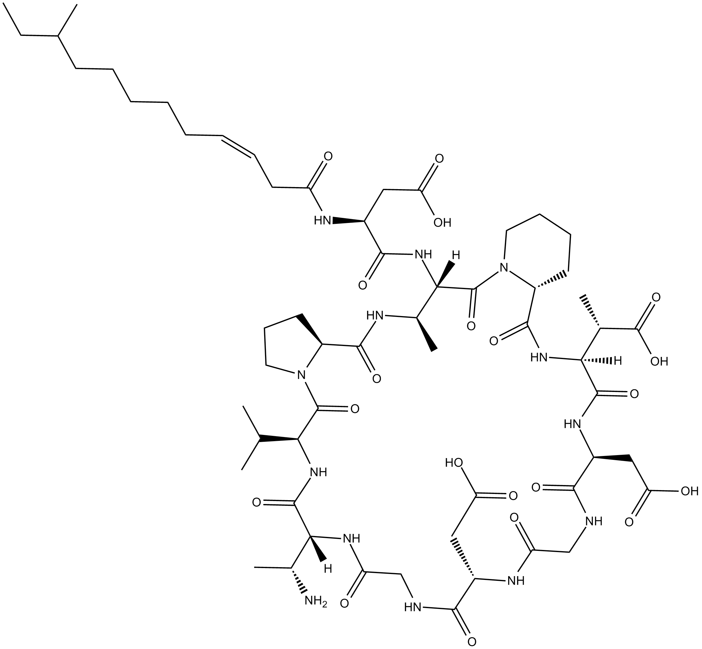 Amphomycin