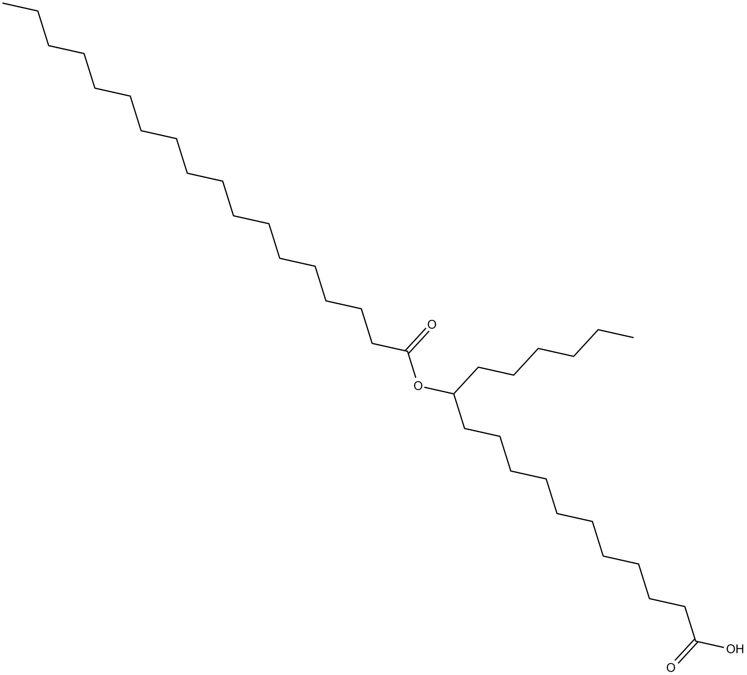 12-SAHSA