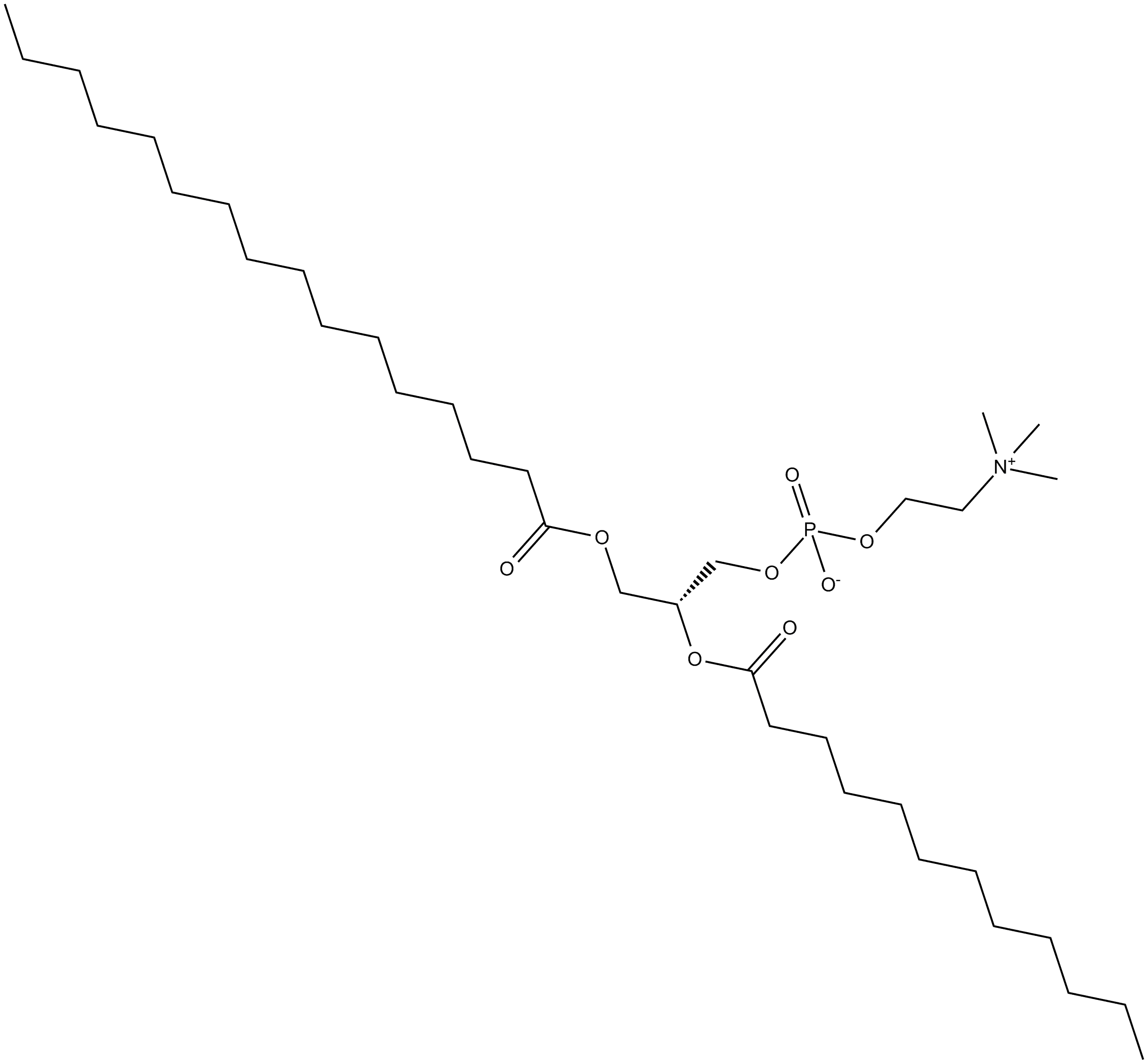 1-Palmitoyl-2-lauroyl-sn-glycero-3-PC