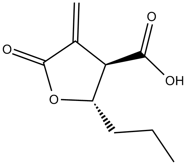 Butyrolactone 3