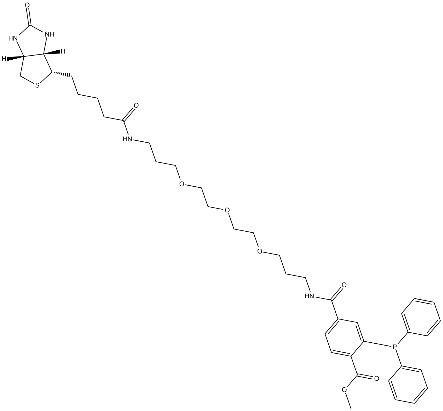 Phosphine-biotin