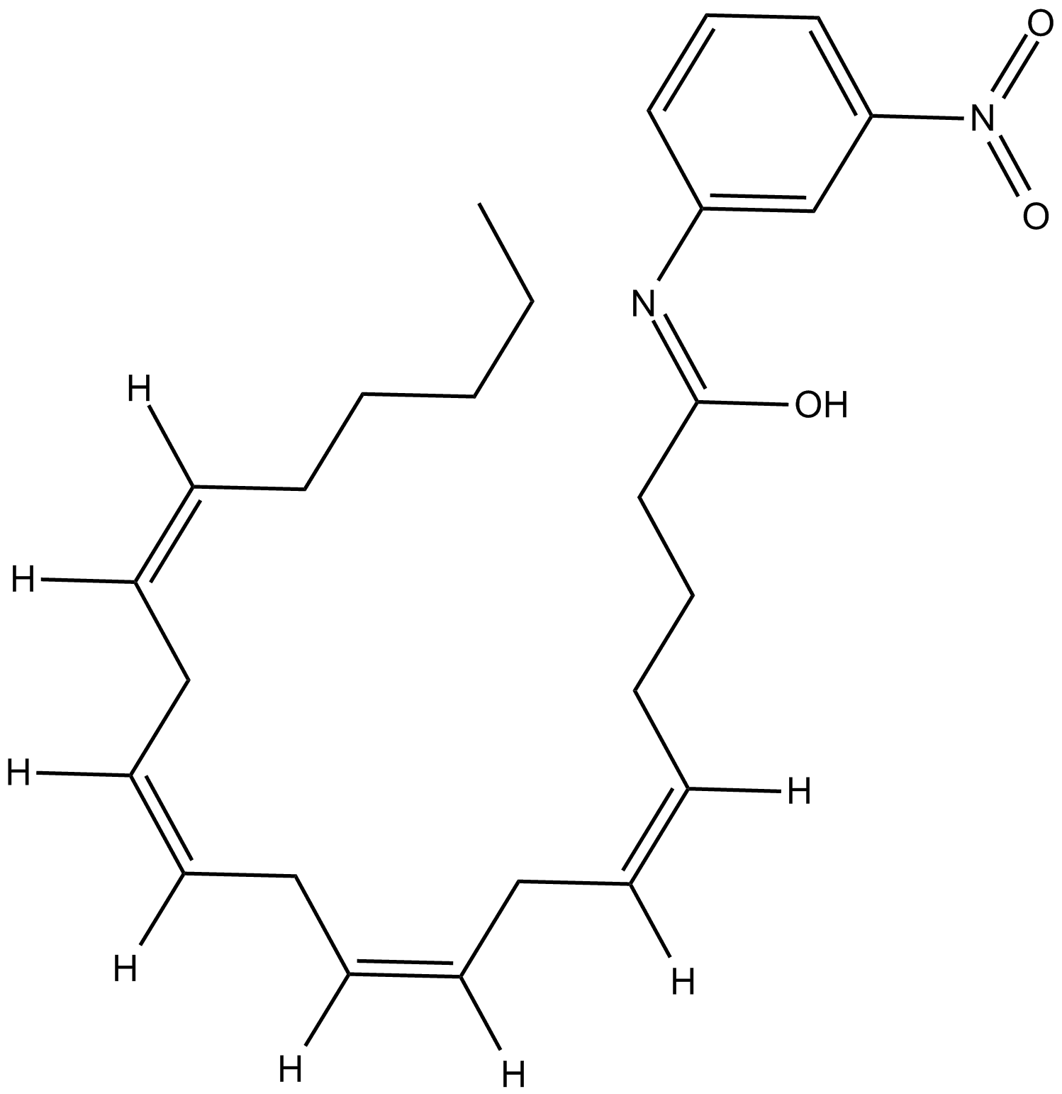 Arachidonoyl m-Nitroaniline