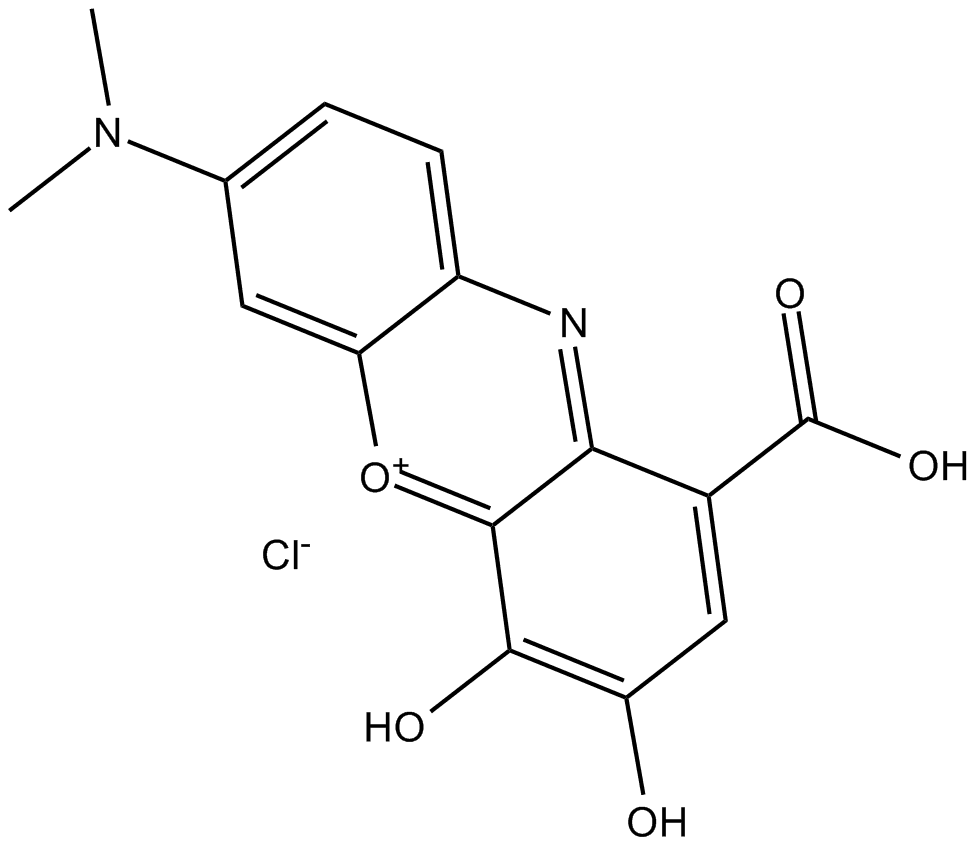 Gallocyanine