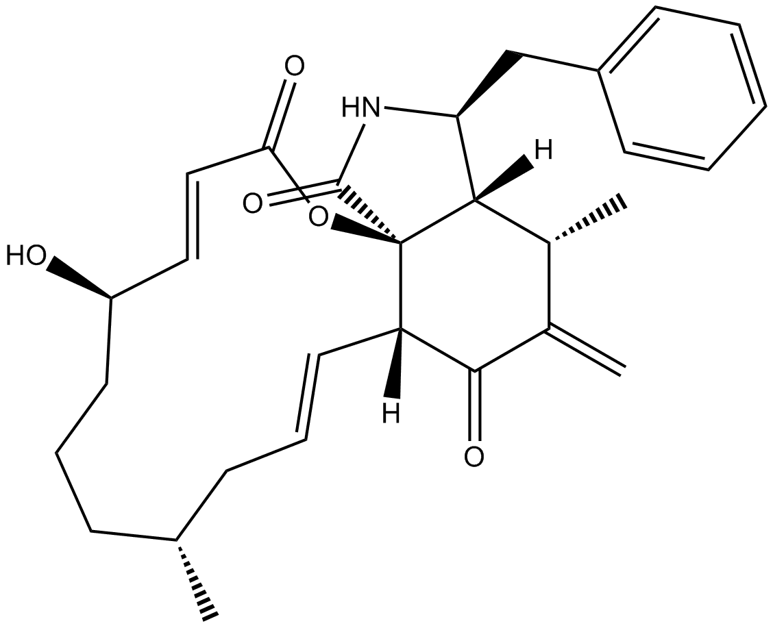 Cytochalasin A
