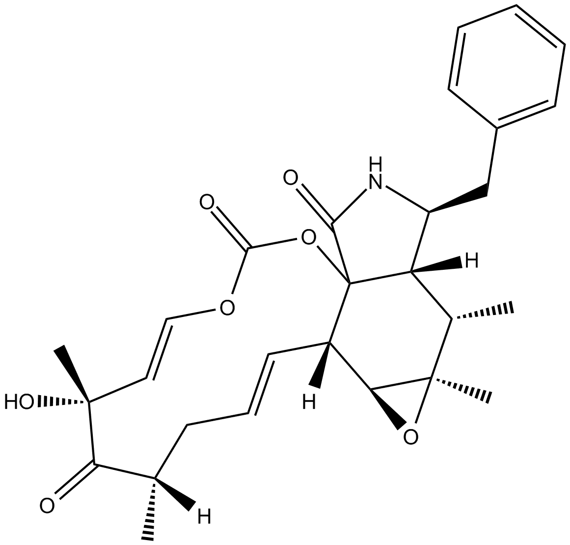 Cytochalasin E