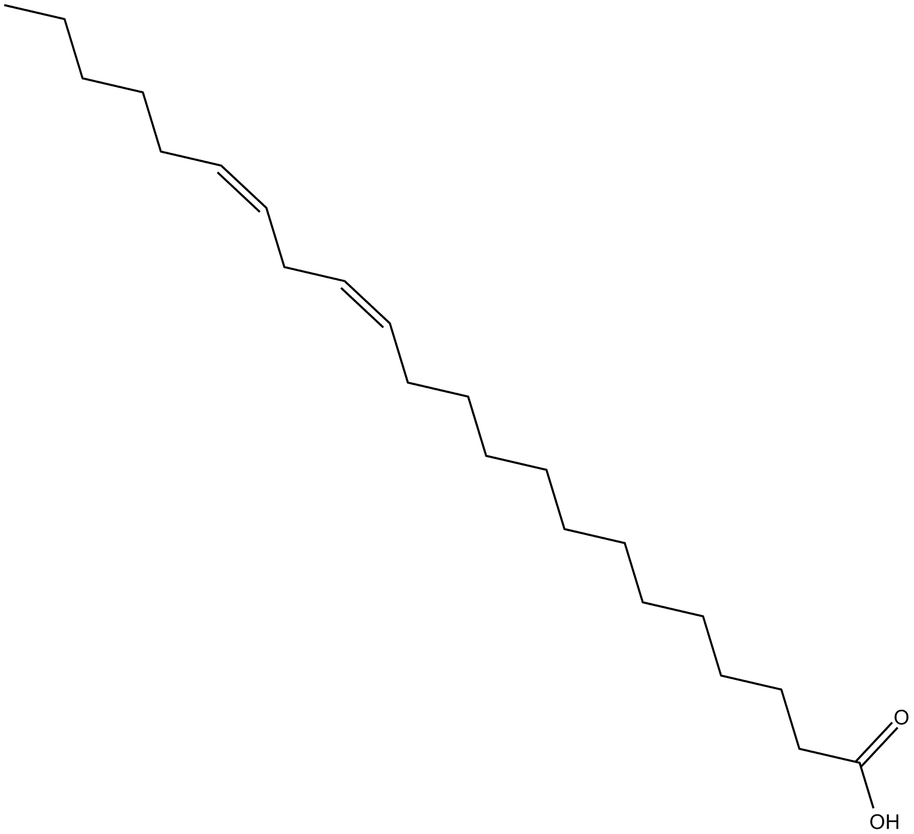 13Z,16Z-Docosadienoic Acid