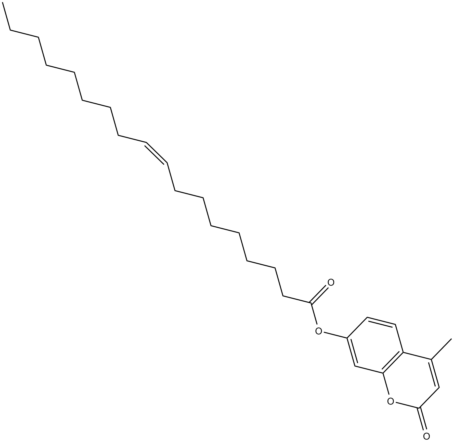 4-Methylumbelliferyl Oleate
