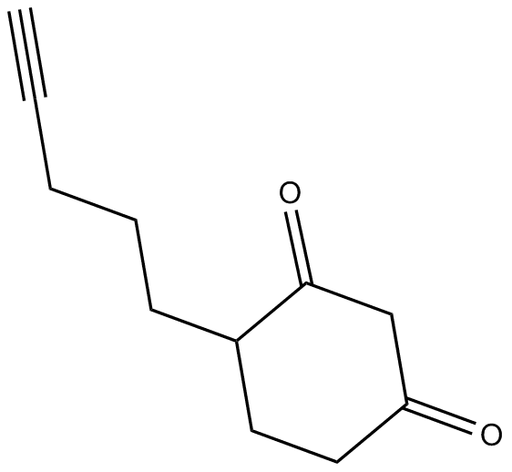 DYn-2