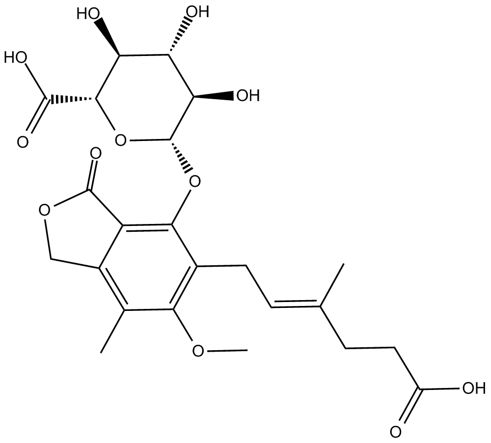 Mycophenolic Acid β-D-Glucuronide