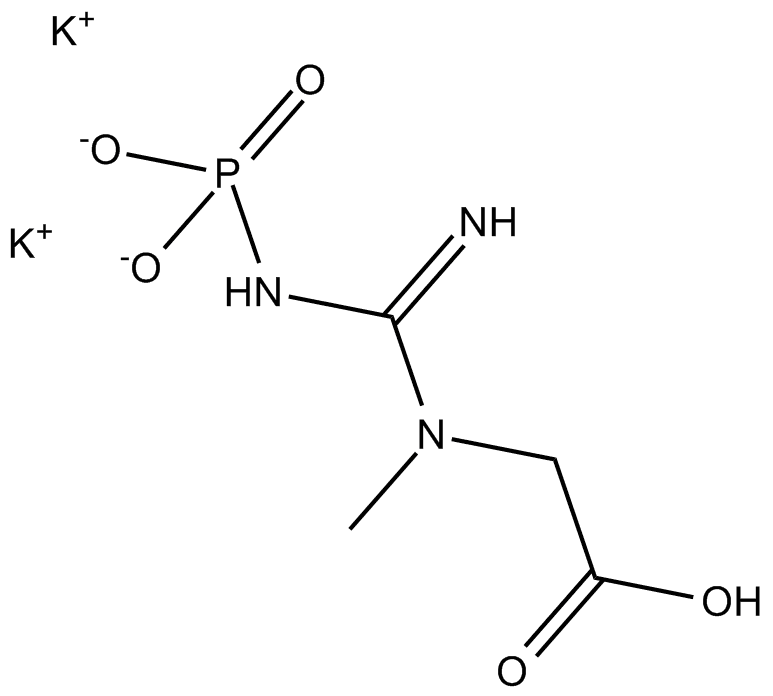 Creatine Phosphate (potassium salt)