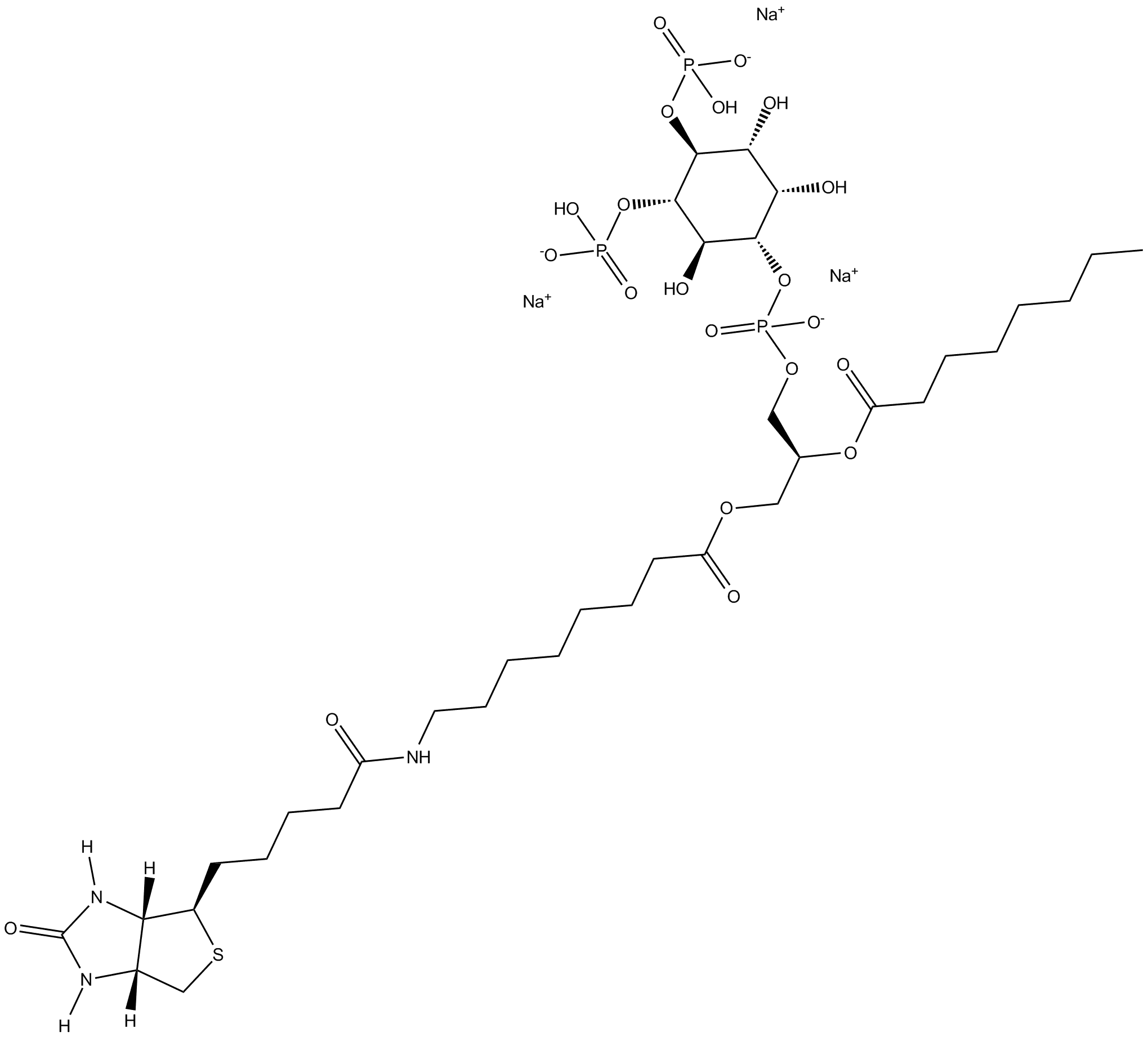 PtdIns-(4,5)-P2-biotin (sodium salt)