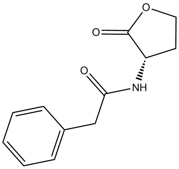 N-phenylacetyl-L-Homoserine lactone