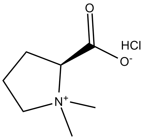 Stachydrine (hydrochloride)