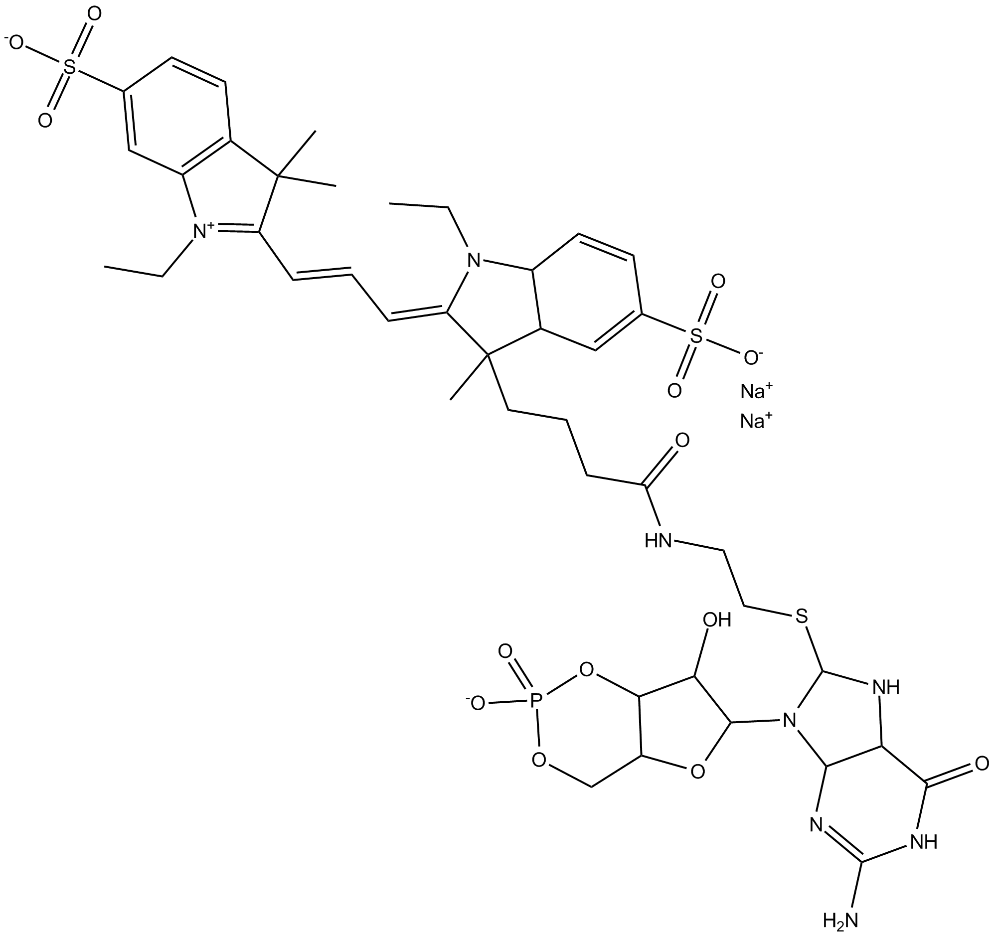 8-DY547-cGMP