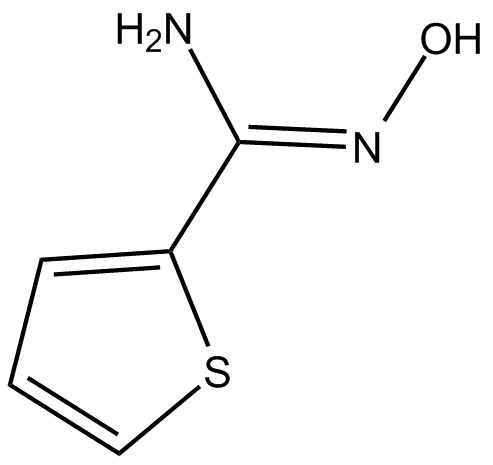 Thiophene-2-amidoxime