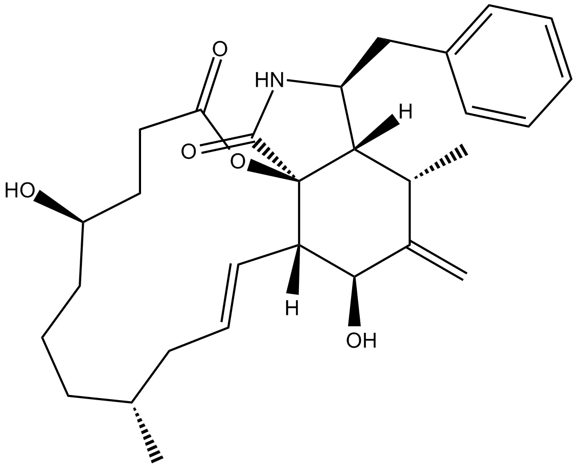 Dihydrocytochalasin B