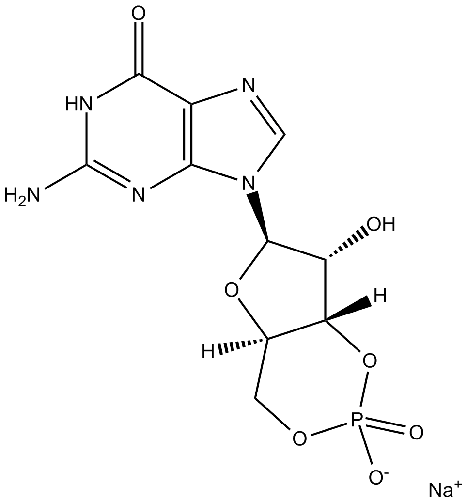 Cyclic GMP