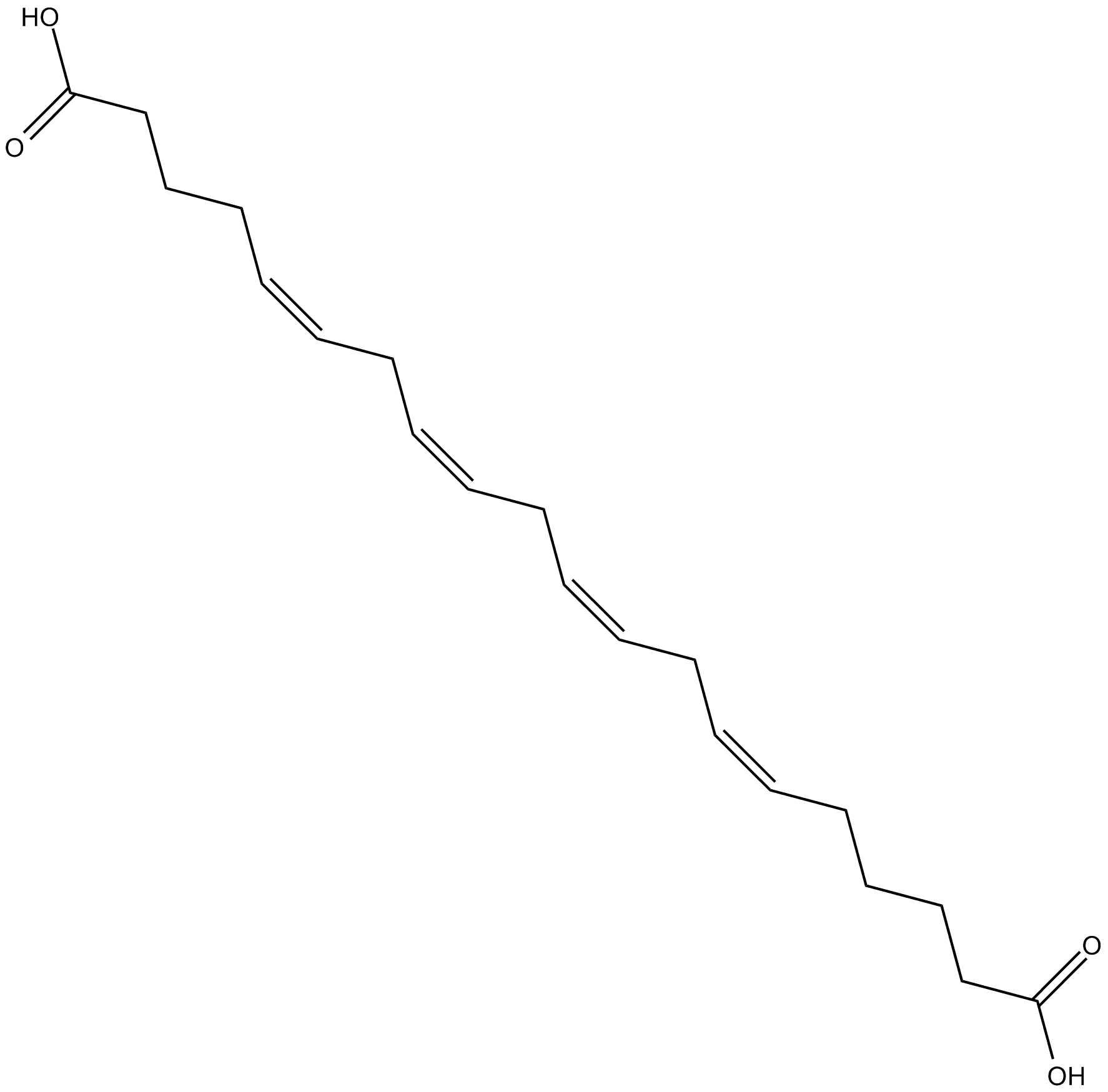 20-carboxy Arachidonic Acid