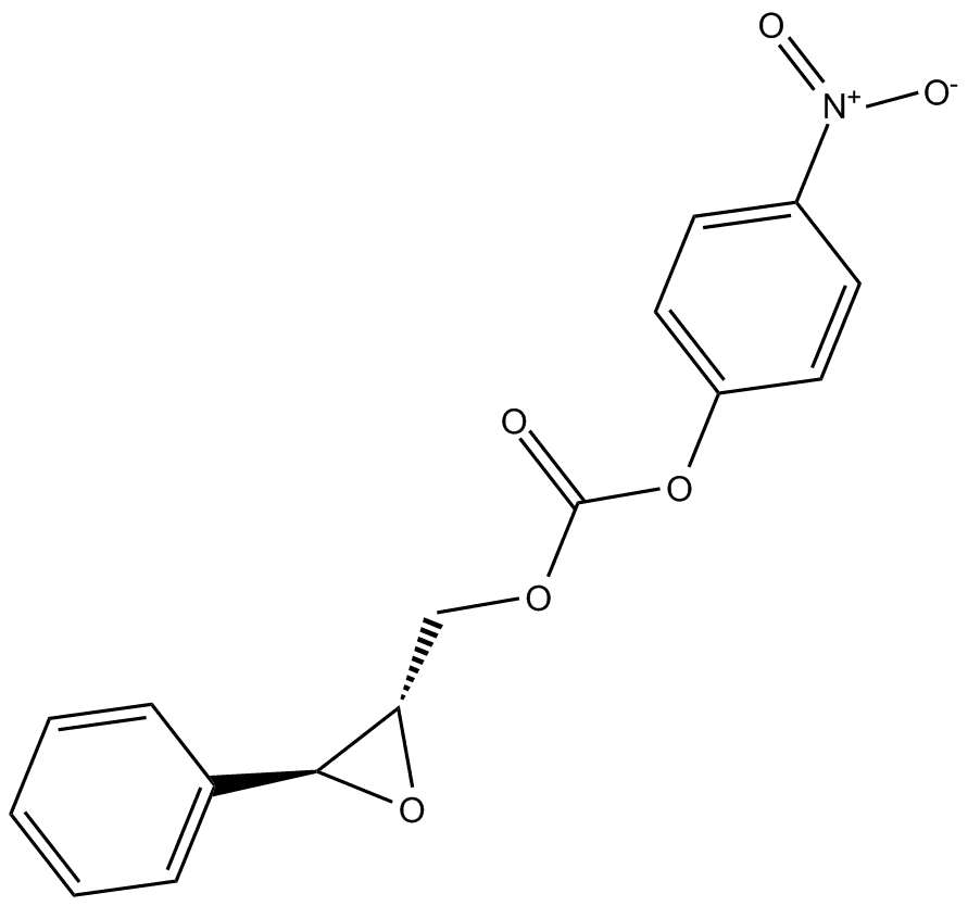 S-NEPC