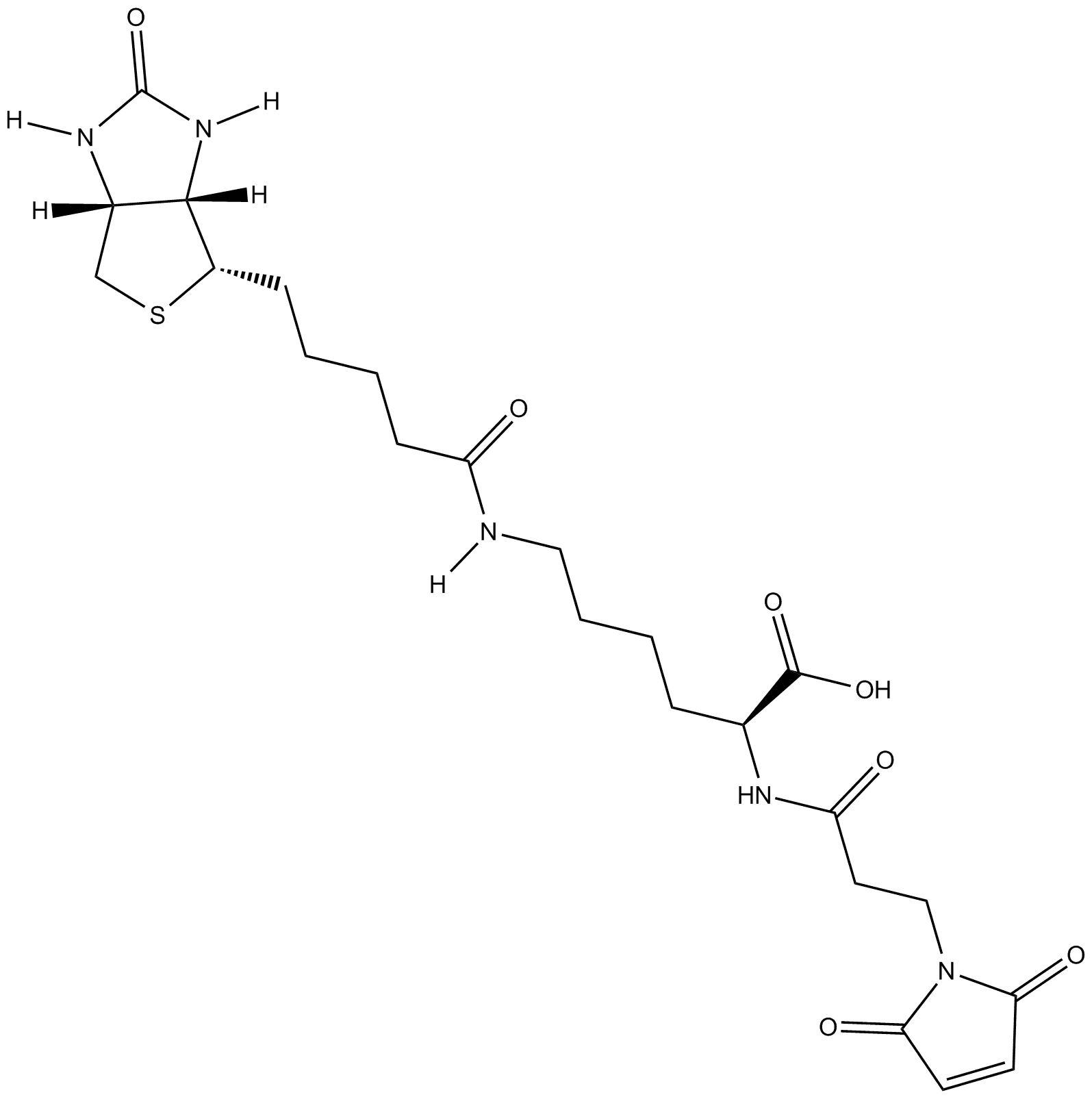 3-(N-Maleimidopropionyl)-biocytin