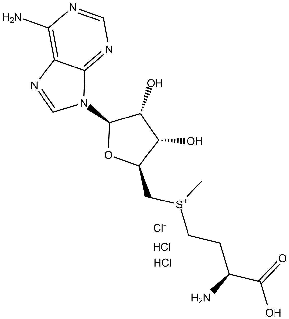 S-(5'-Adenosyl)-L-methionine chloride (hydrochloride)