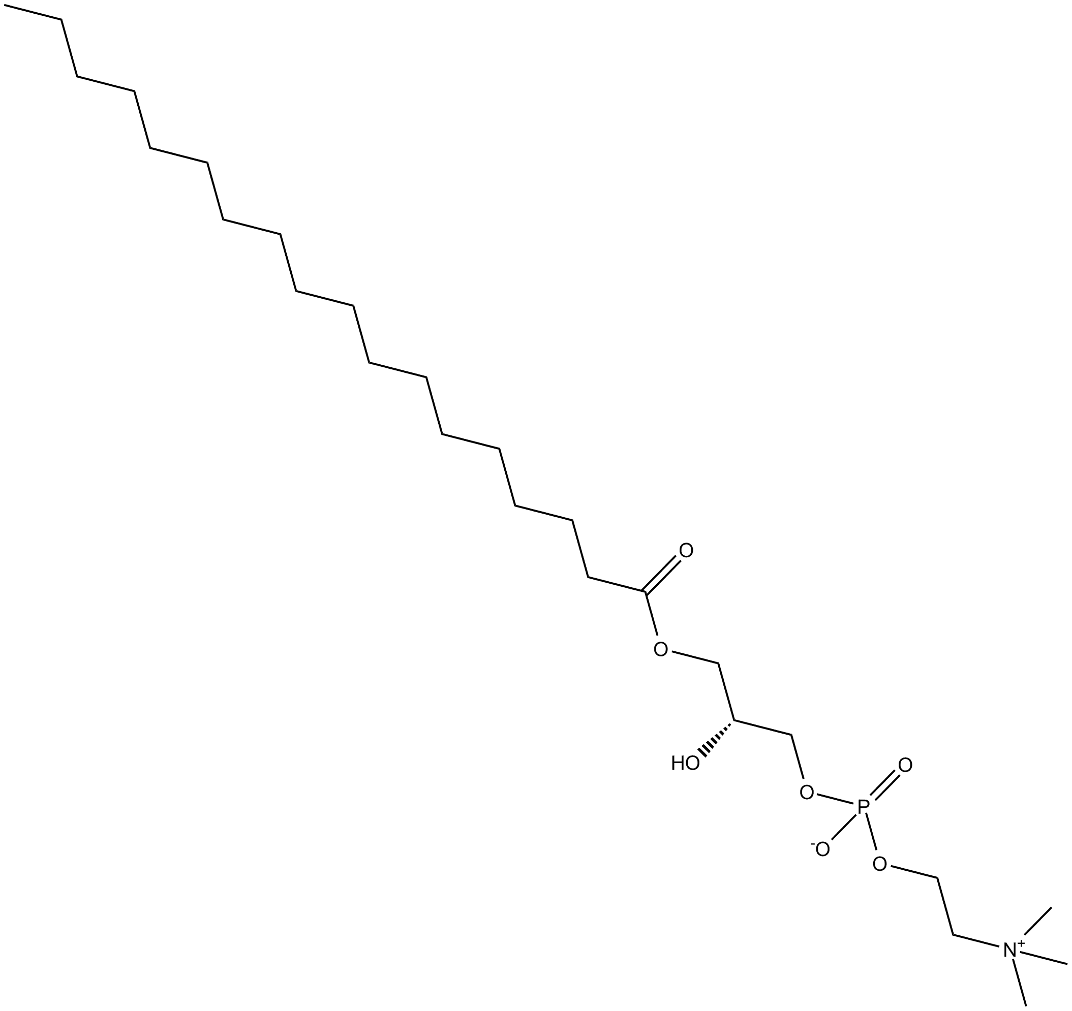 1-Stearoyl-2-lyso-sn-glycero-3-PC
