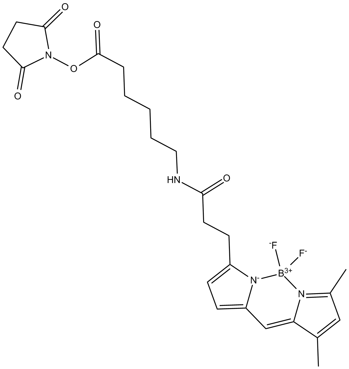 3-BODIPY-propanoylaminocaproic Acid N-hydroxysuccinimide ester