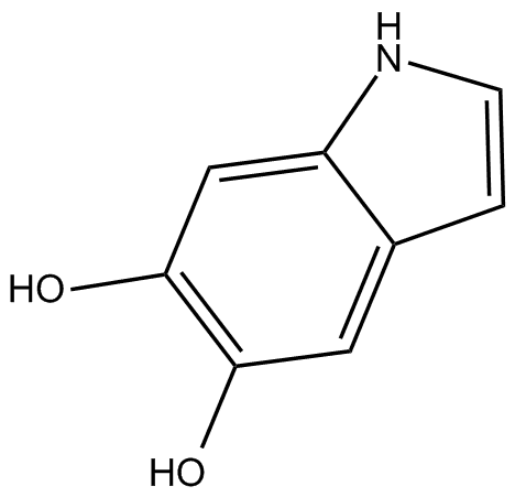 5,6-dihydroxy Indole