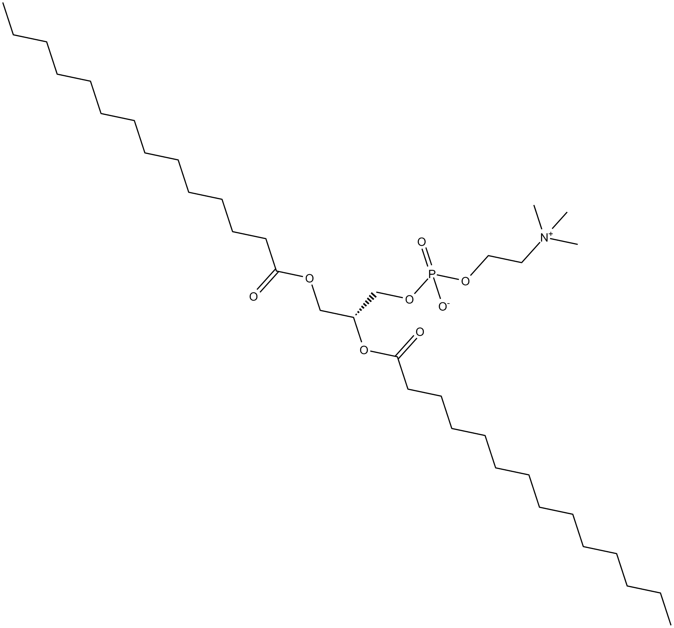1,2-Dimyristoyl-sn-glycero-3-PC