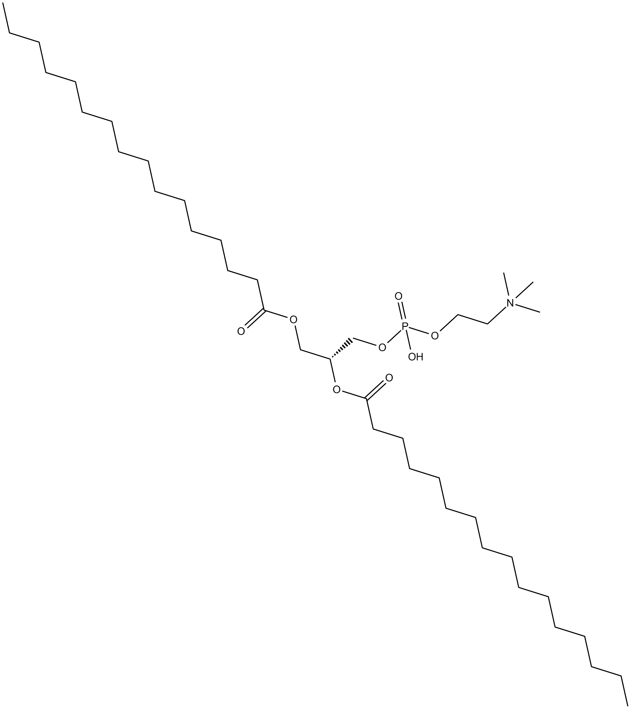 1,2-Dipalmitoyl-sn-glycero-3-PC