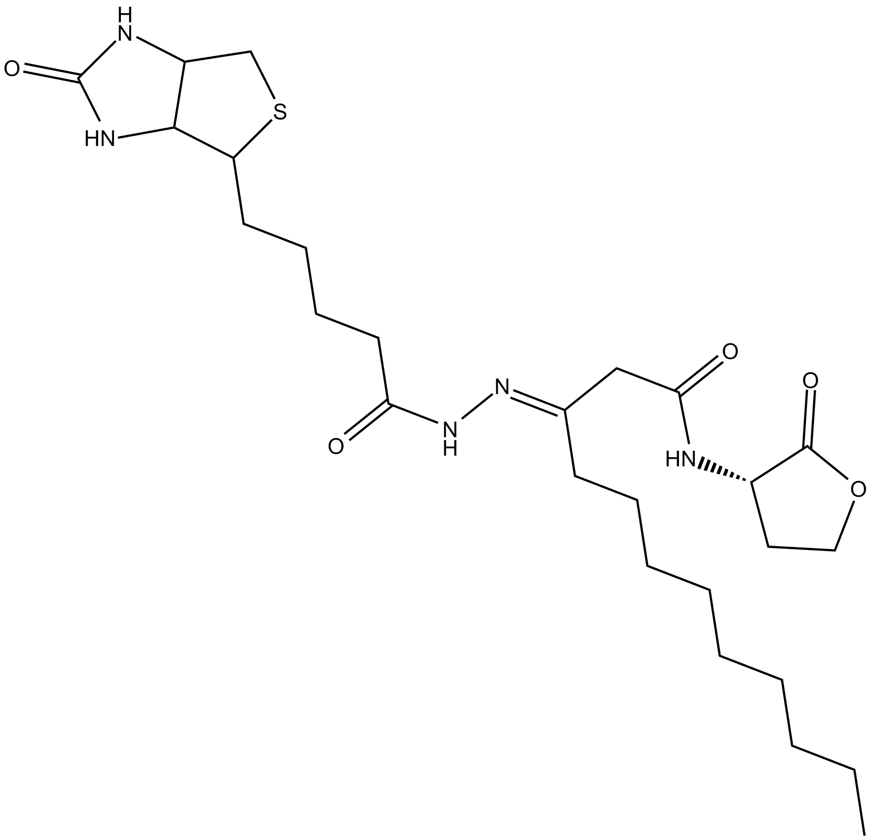 N-dodecanoyl-L-Homoserine lactone-3-hydrazone-biotin