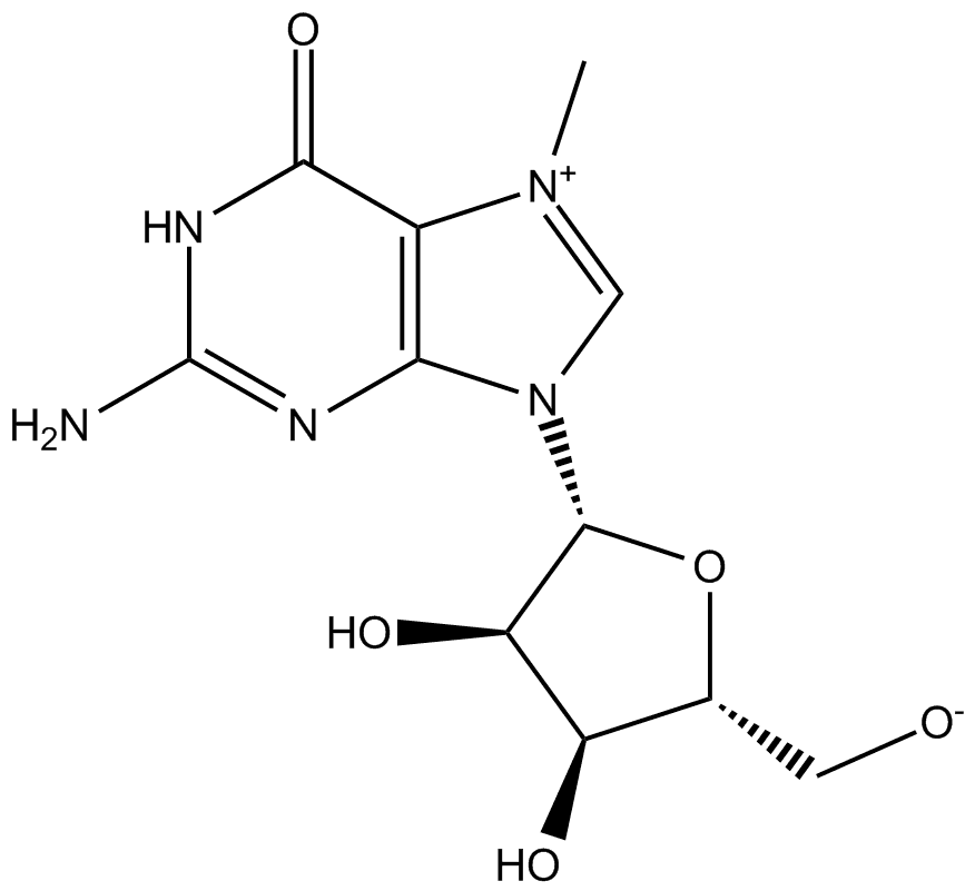 7-Methylguanosine