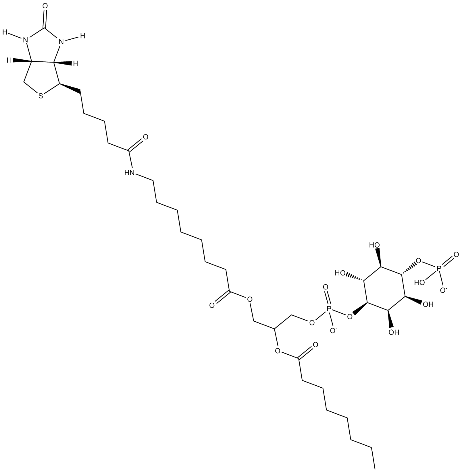 PtdIns-(4)-P1 (1,2-dioctanoyl)-biotin (sodium salt)