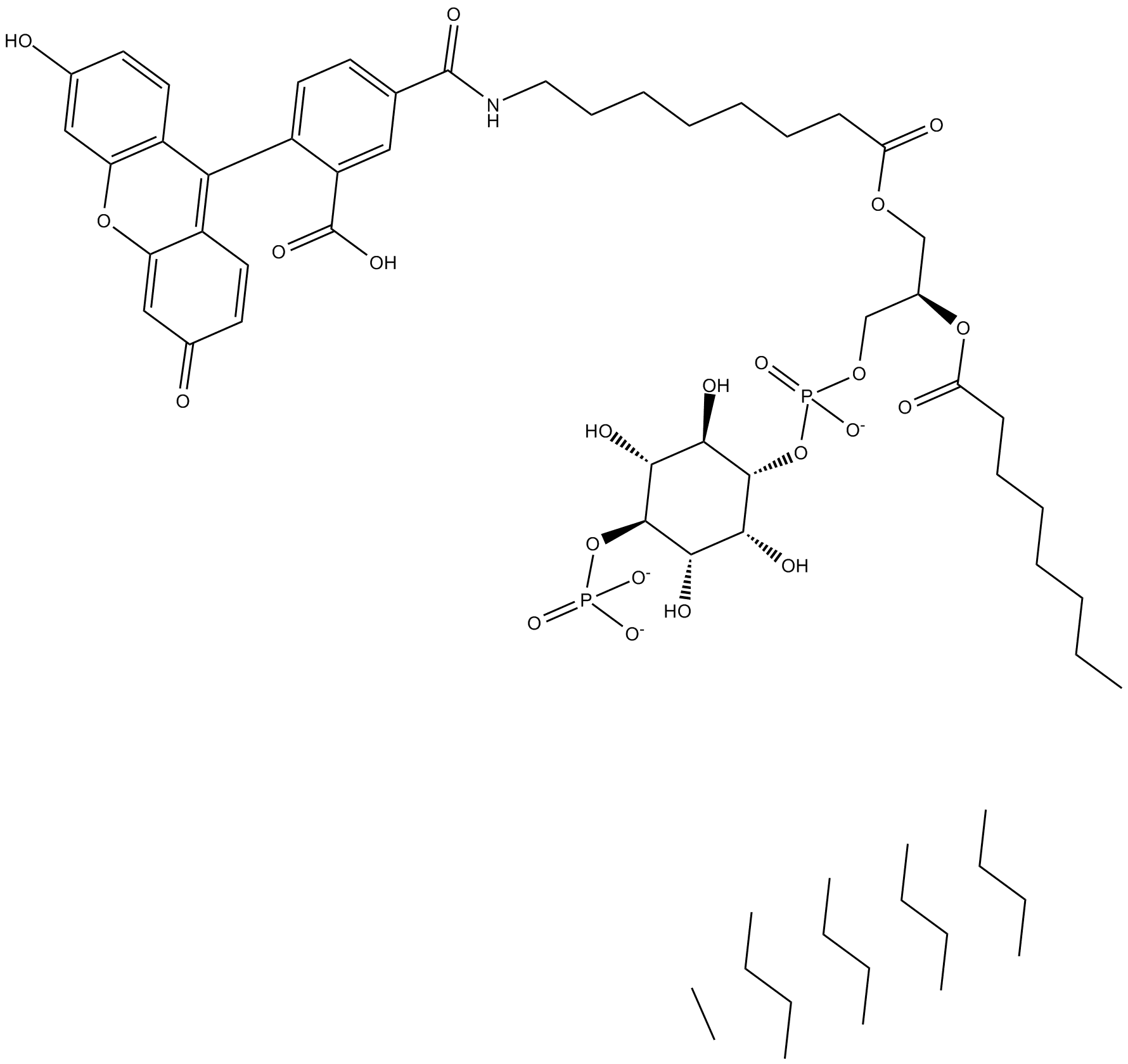 PtdIns (4)-P1-fluorescein (ammonium salt)