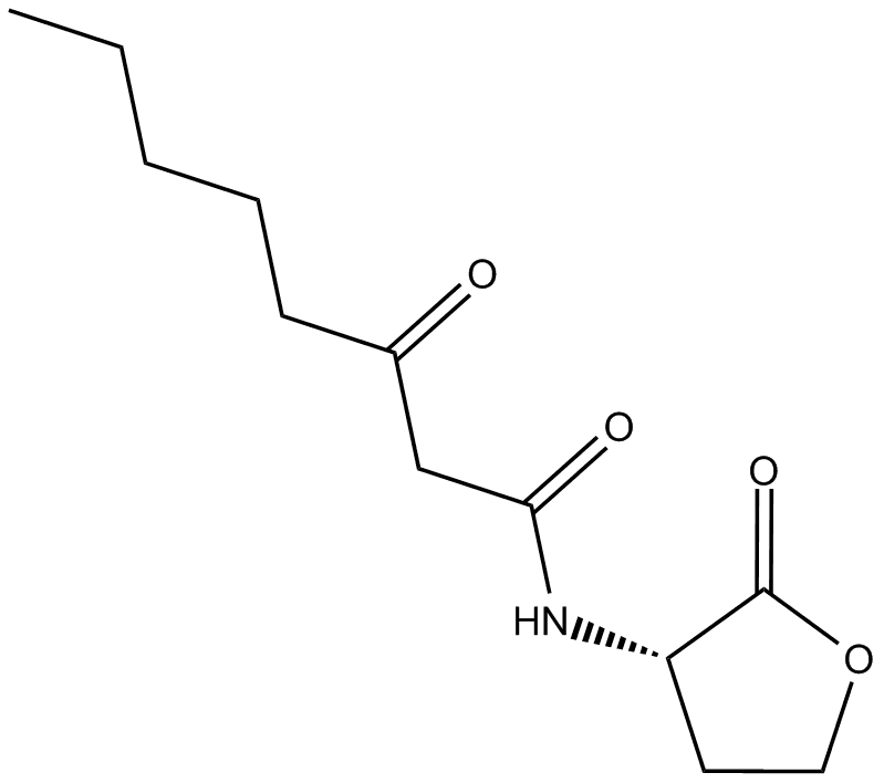 N-3-oxo-octanoyl-L-Homoserine lactone