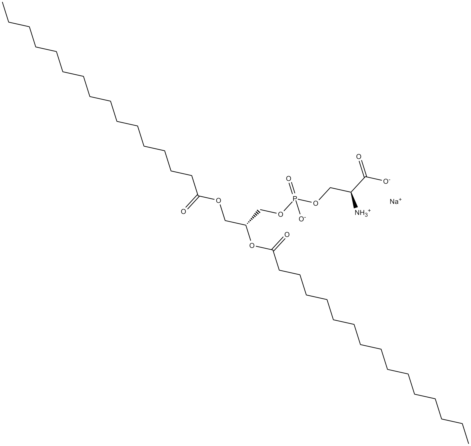 1,2-Dipalmitoyl-sn-glycero-3-PS (sodium salt)